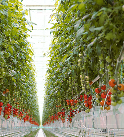 Kentucky et CanadaUne économie intégrée
Partenaires pour la sécurité et la prospérité